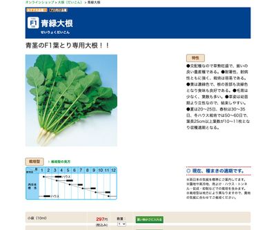 青緑大根の画像