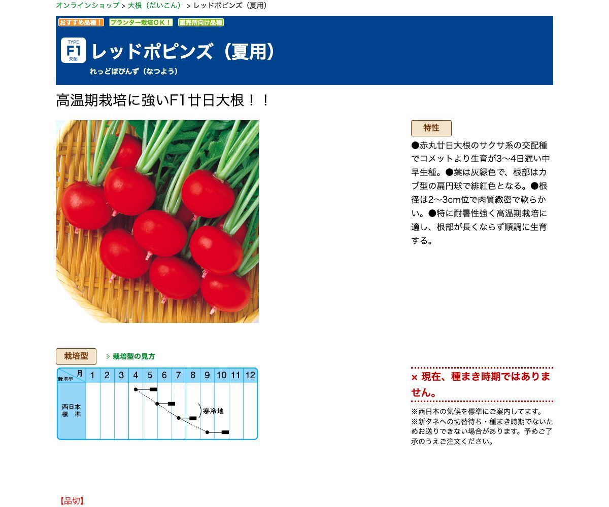 レッドポピンズ（夏用）