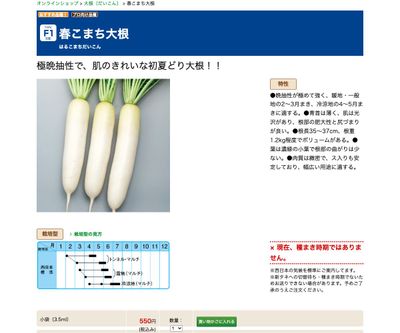 春こまち大根の画像