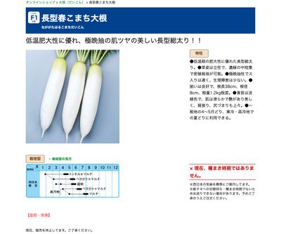 長型春こまち大根の画像