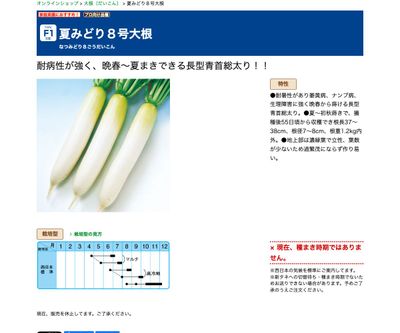 夏みどり８号大根の画像