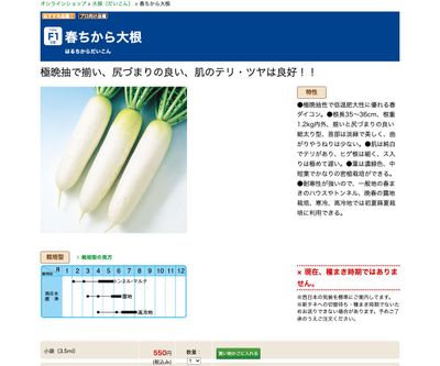 春ちから大根の画像