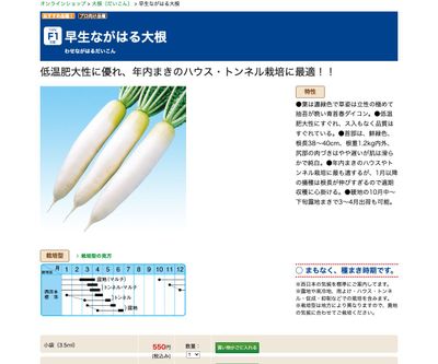 早生ながはる大根の画像