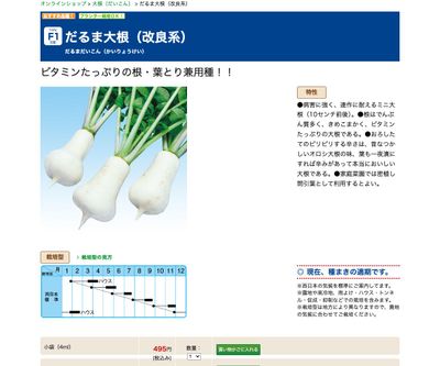 だるま大根（改良系）の画像