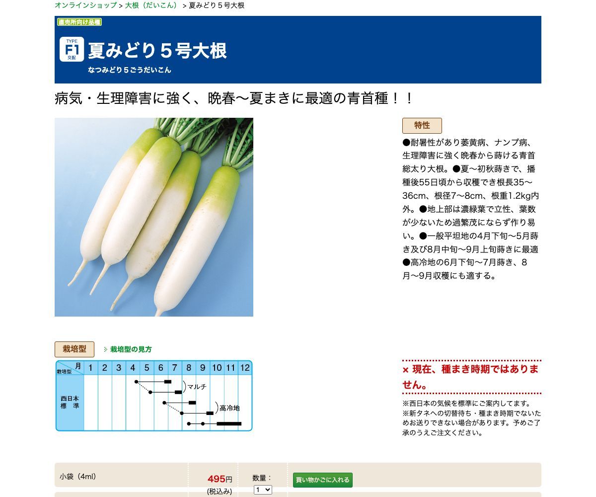 夏みどり５号大根