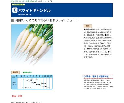 ホワイトキャンドルの画像