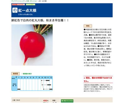紅一点大根の画像
