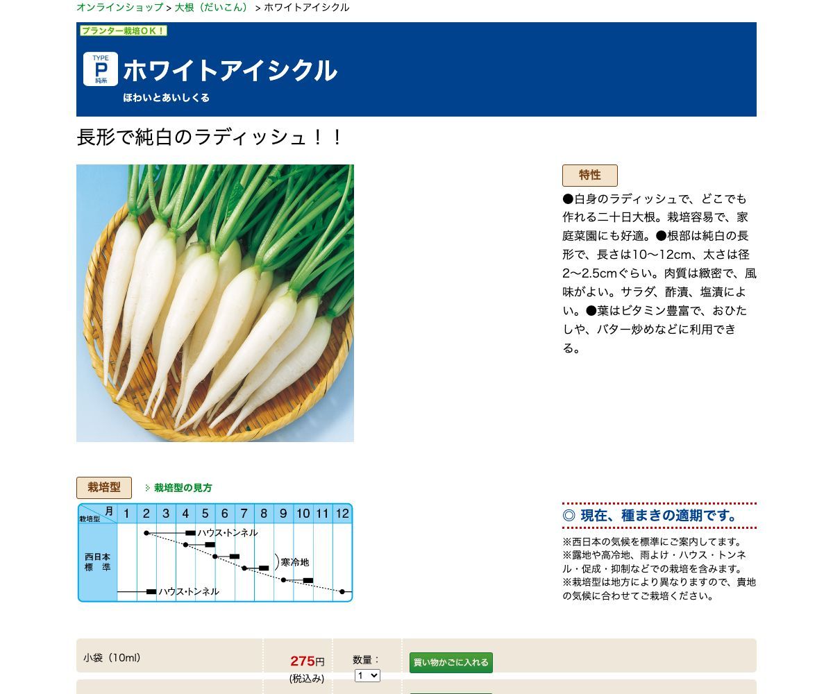 ホワイトアイシクル