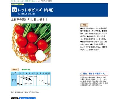 レッドポピンズ（冬用）の画像