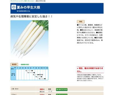 夏みの早生大根の画像