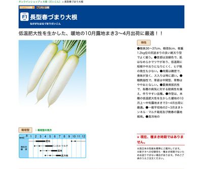 長型春づまり大根の画像