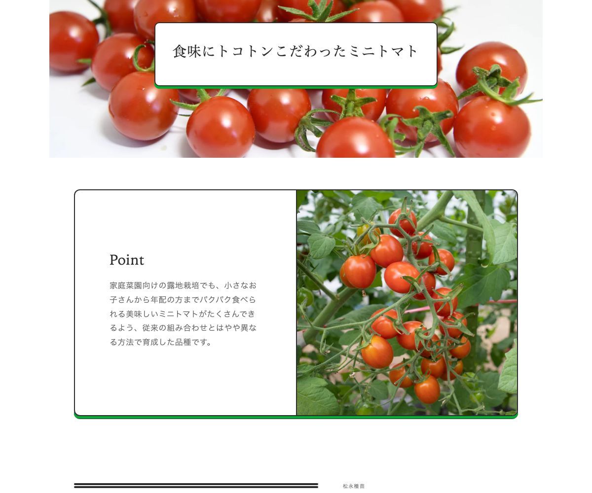 ミニトマトまゆか