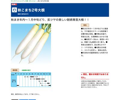 秋こまち2号大根の画像