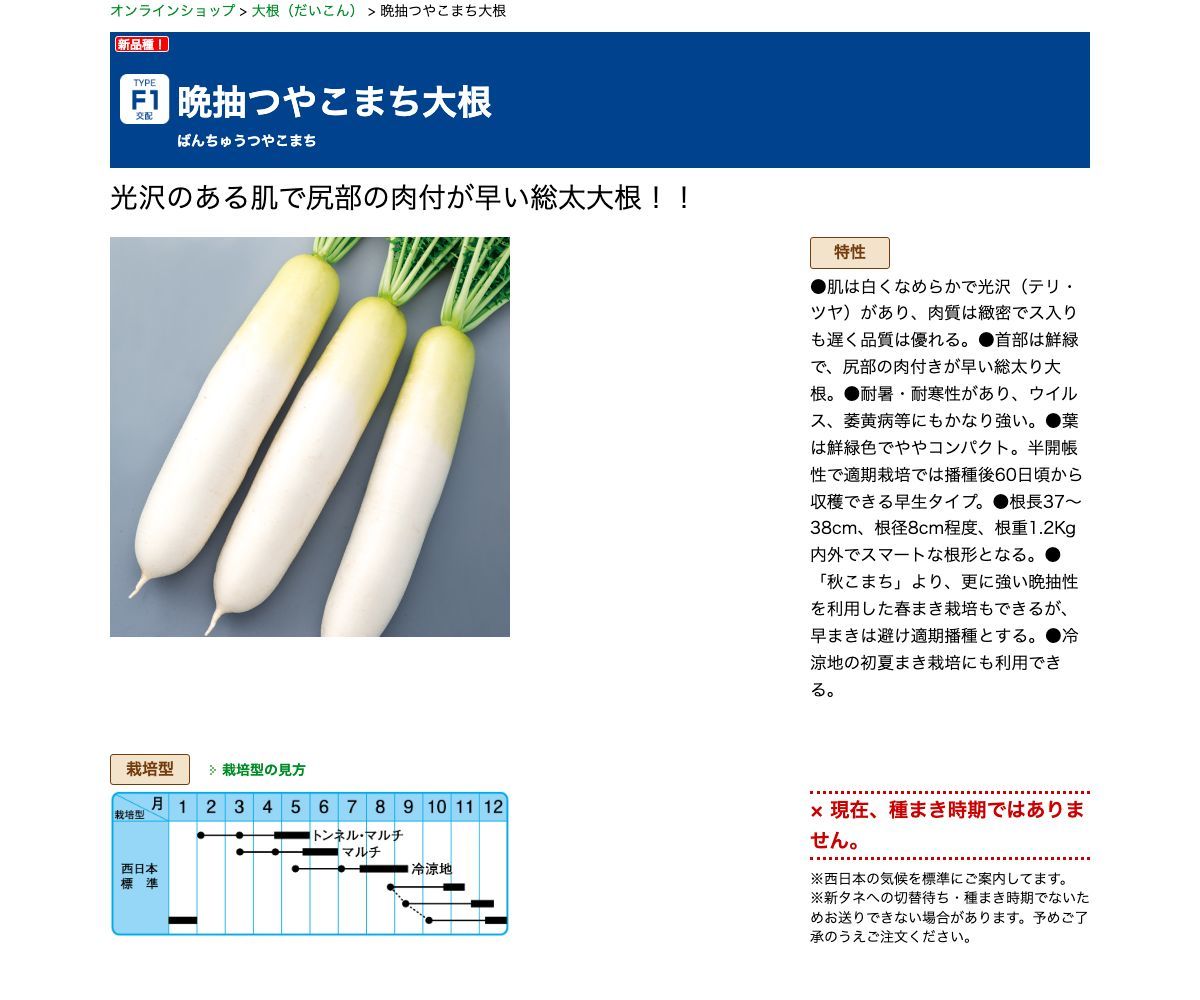 晩抽つやこまち大根