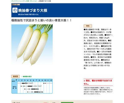 晩抽春づまり大根の画像