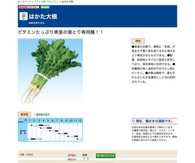 はかた大根の画像