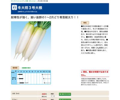 冬大将３号大根の画像