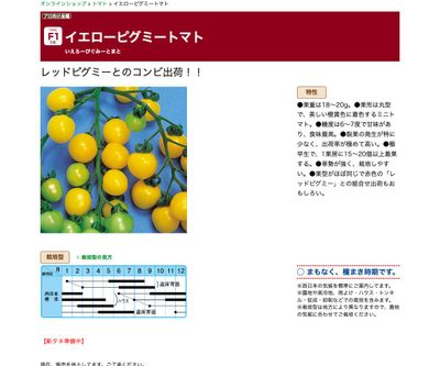 イエローピグミートマトの画像