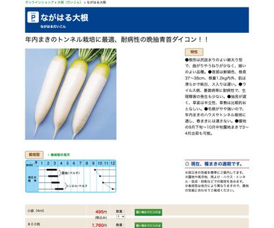 ながはる大根の画像