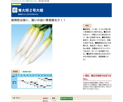 青大将２号大根の画像