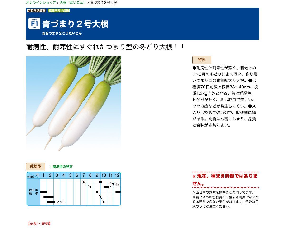 青づまり２号大根