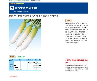 青づまり２号大根の画像