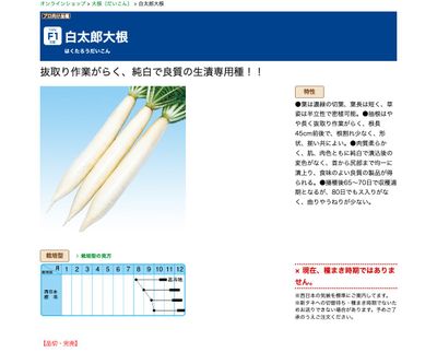 白太郎大根の画像