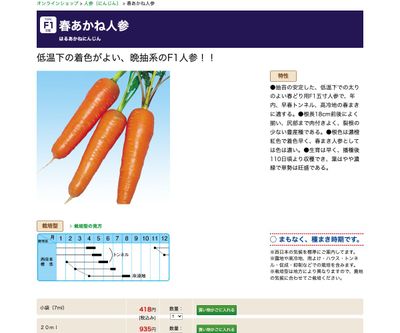 春あかね人参の画像