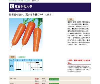 夏あかね人参の画像