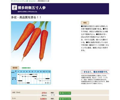 博多時無五寸人参の画像