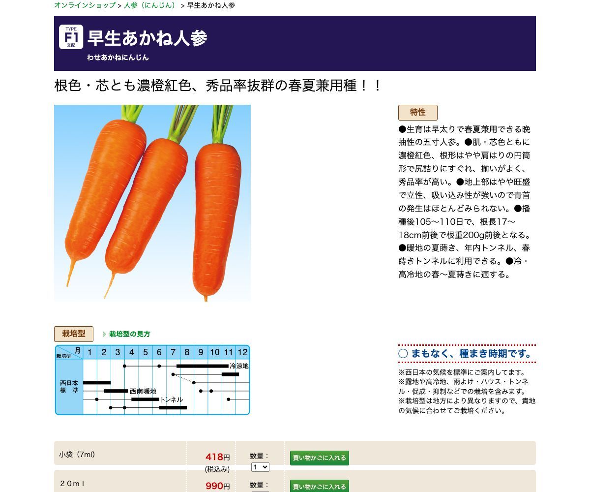 早生あかね人参