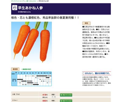 早生あかね人参の画像