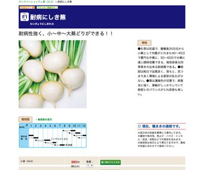 耐病にしき蕪の画像