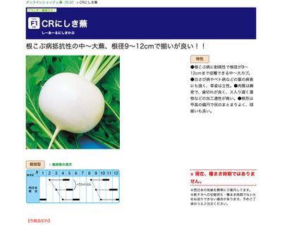 CRにしき蕪の画像