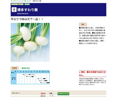 博多すわり蕪の画像