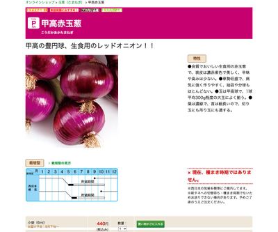 甲高赤玉葱の画像