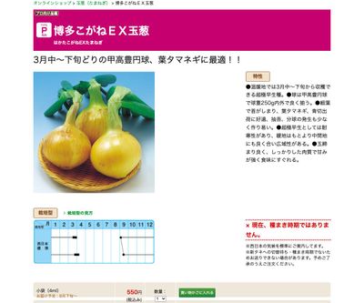 博多こがねＥＸ玉葱の画像