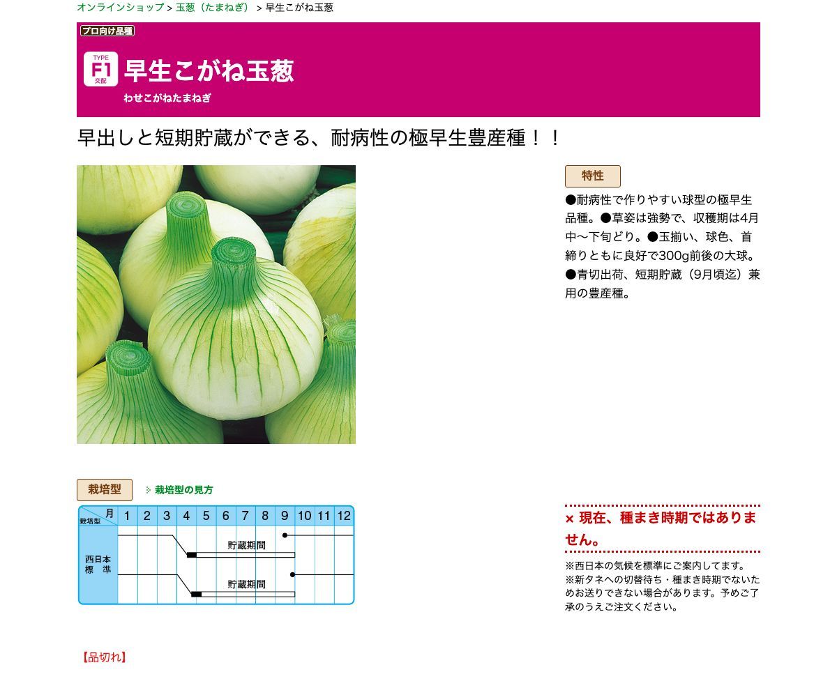 早生こがね玉葱