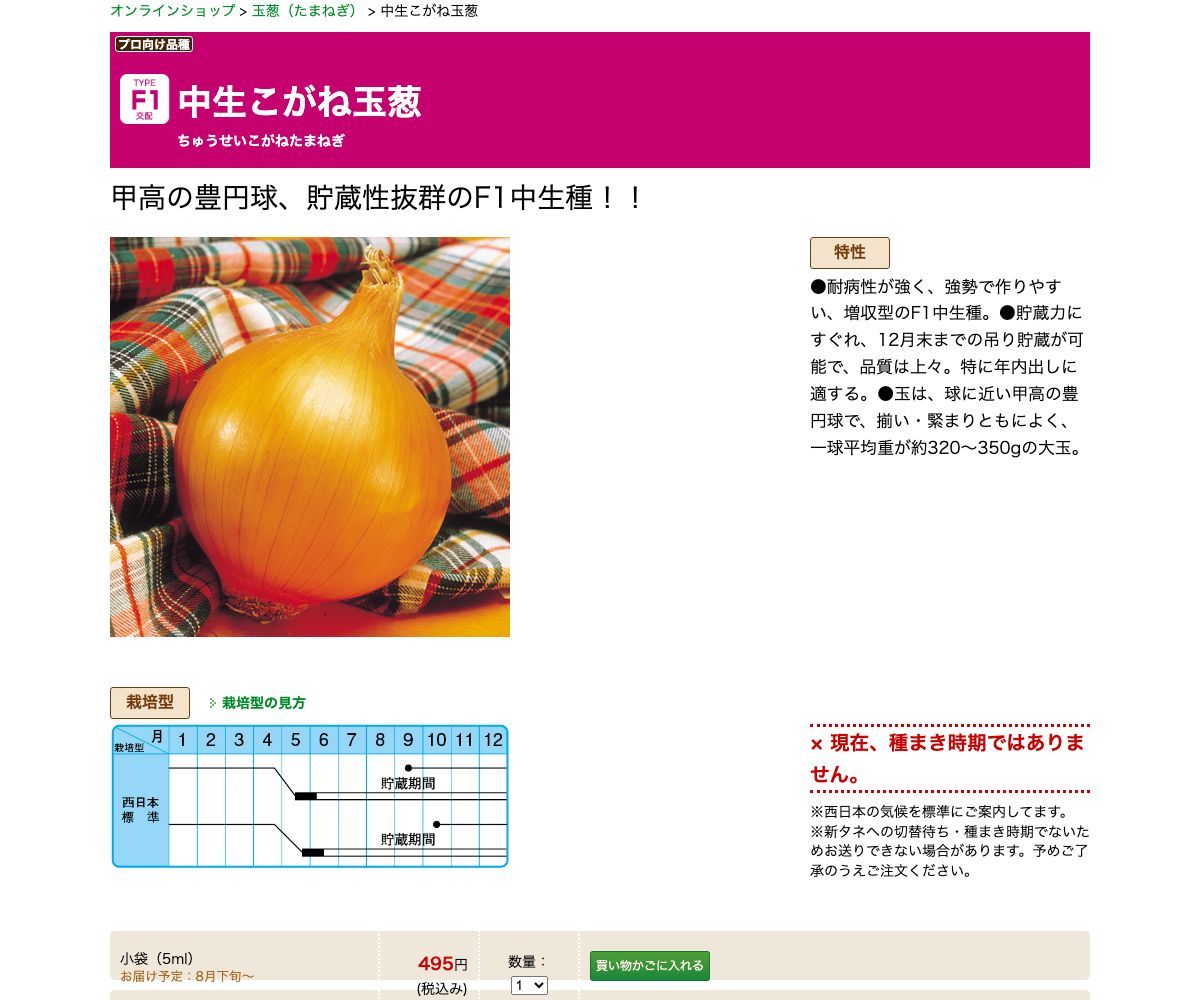 中生こがね玉葱