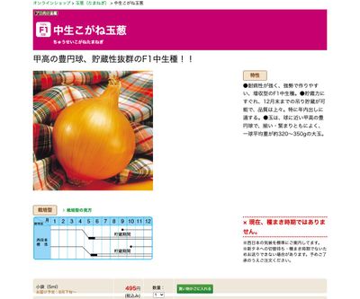 中生こがね玉葱の画像