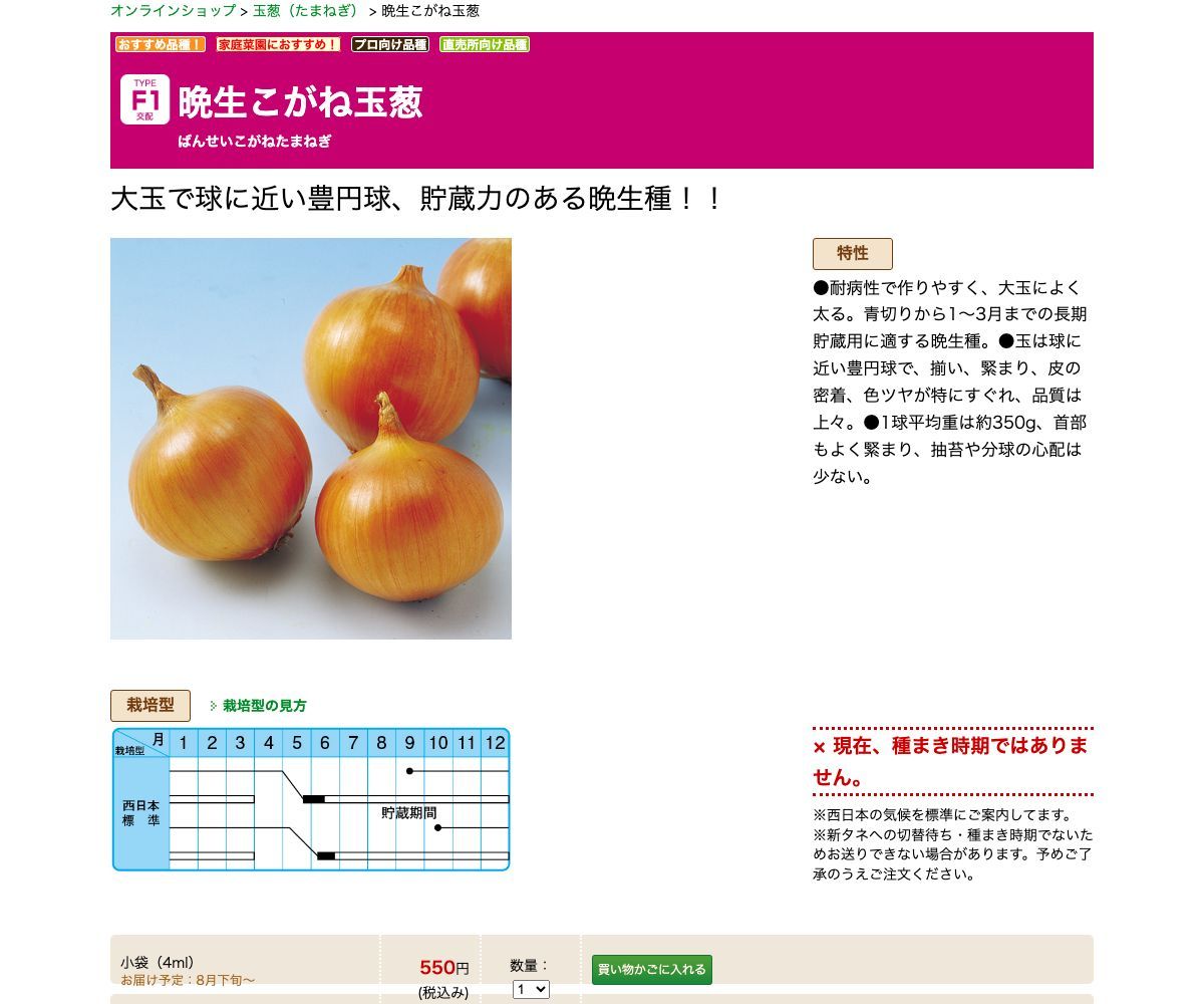 晩生こがね玉葱