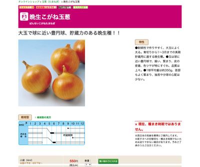 晩生こがね玉葱の画像