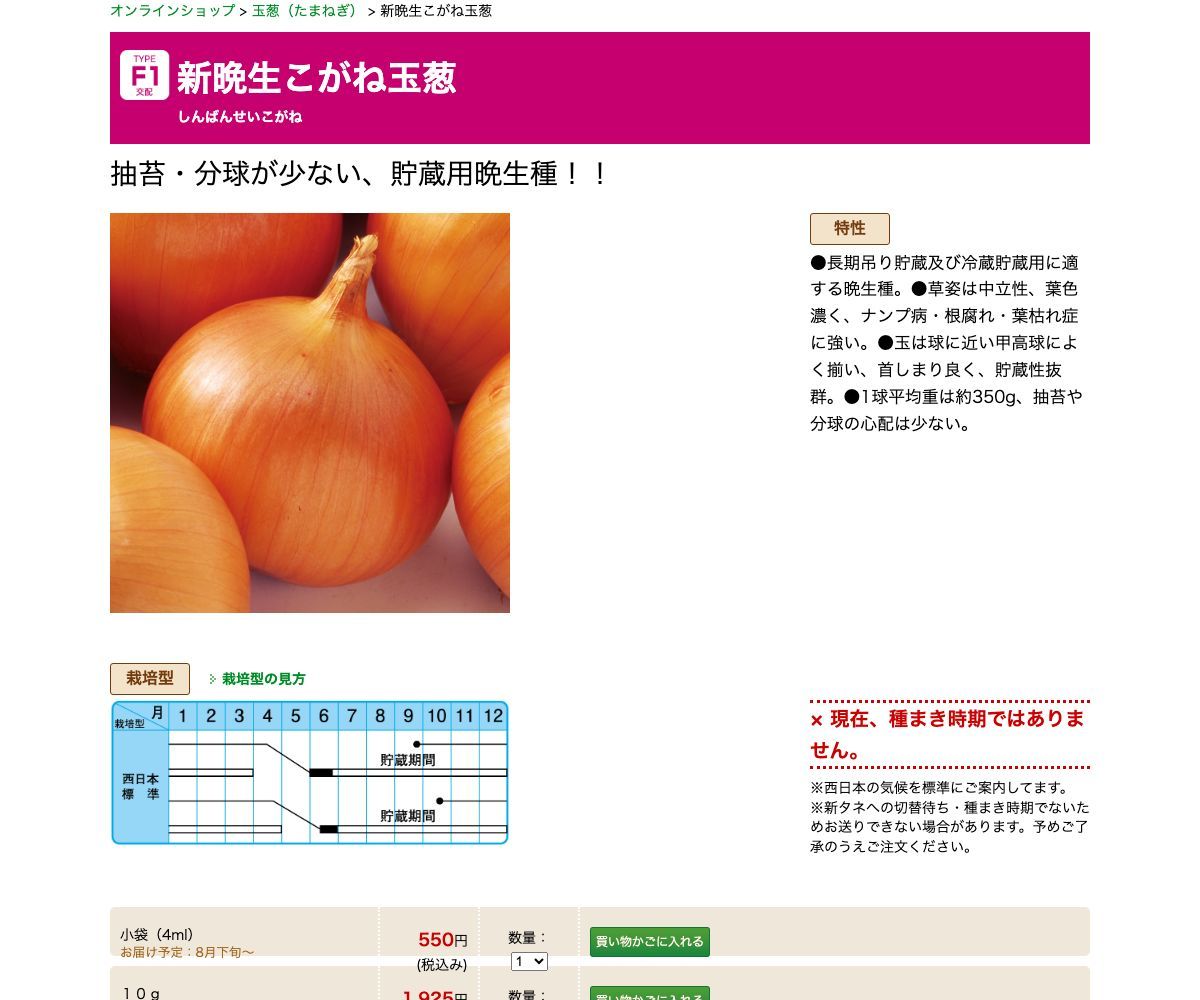 新晩生こがね玉葱