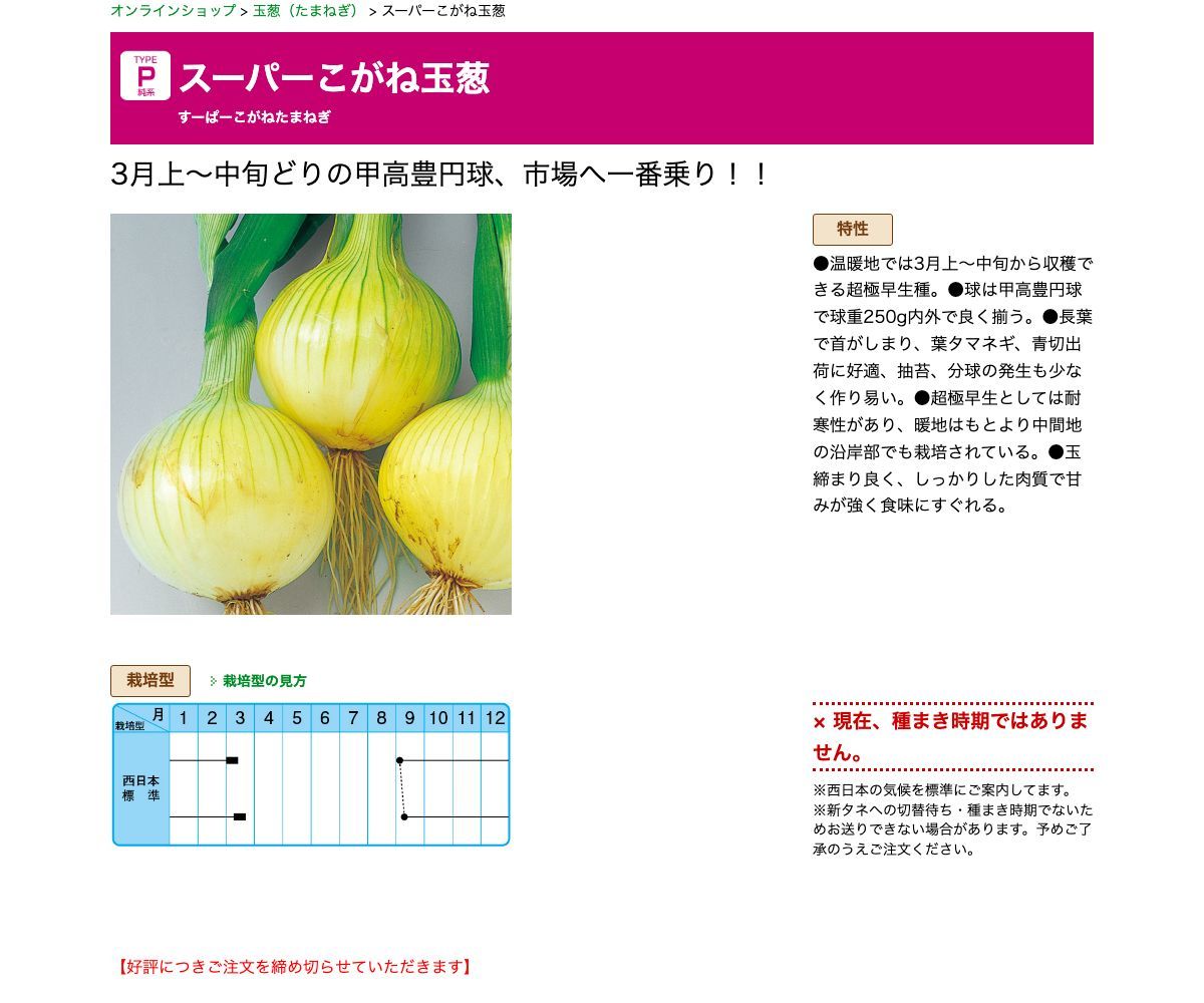 スーパーこがね玉葱