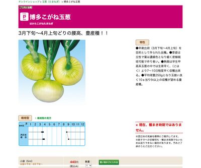 博多こがね玉葱の画像