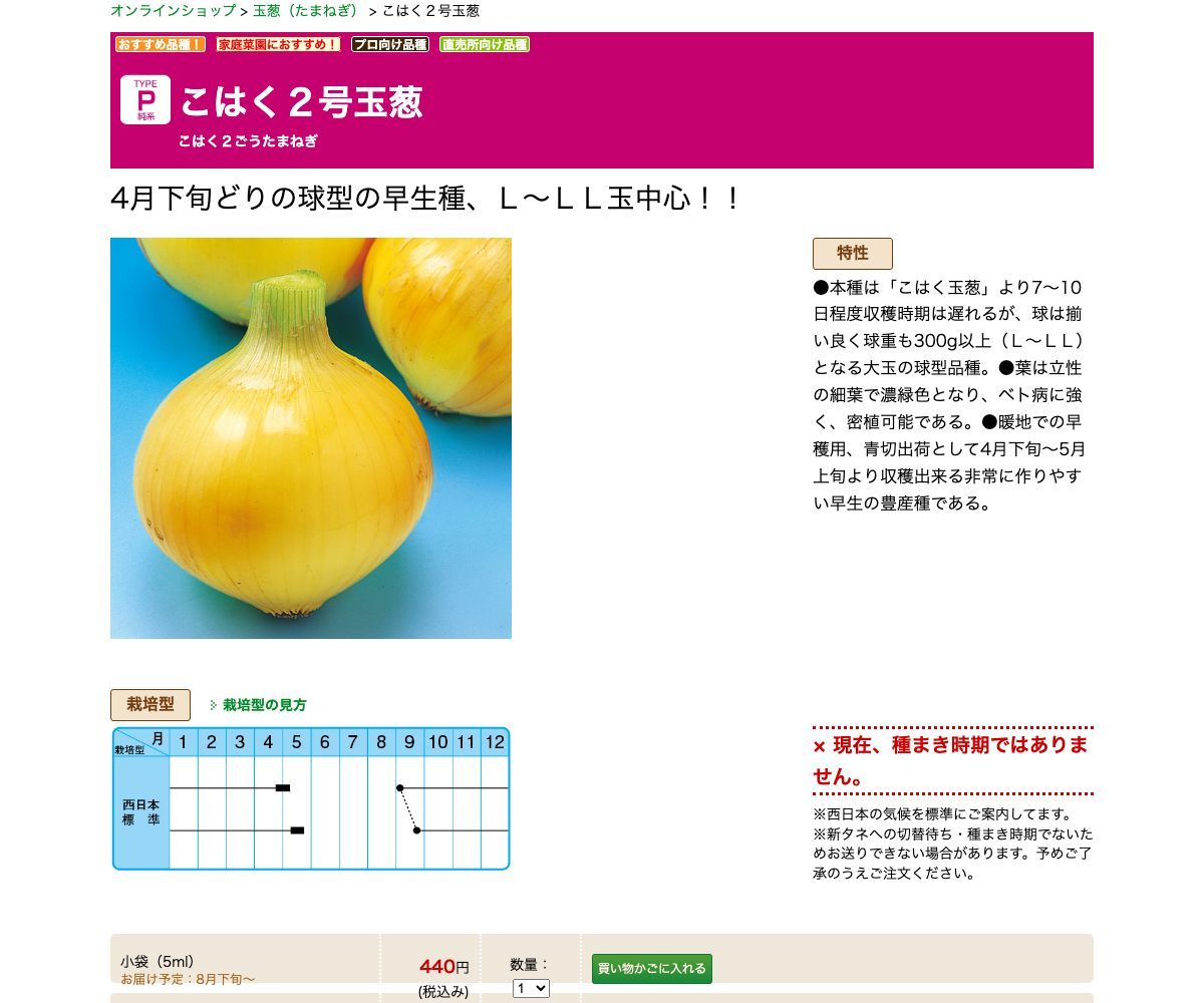 こはく２号玉葱