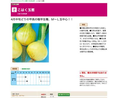 こはく玉葱の画像