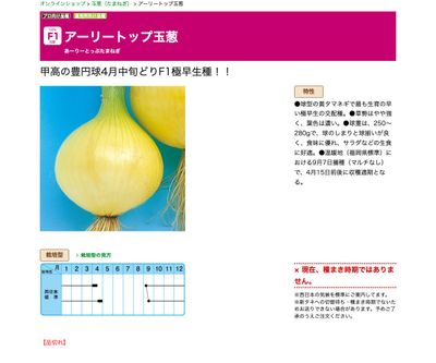 アーリートップ玉葱の画像
