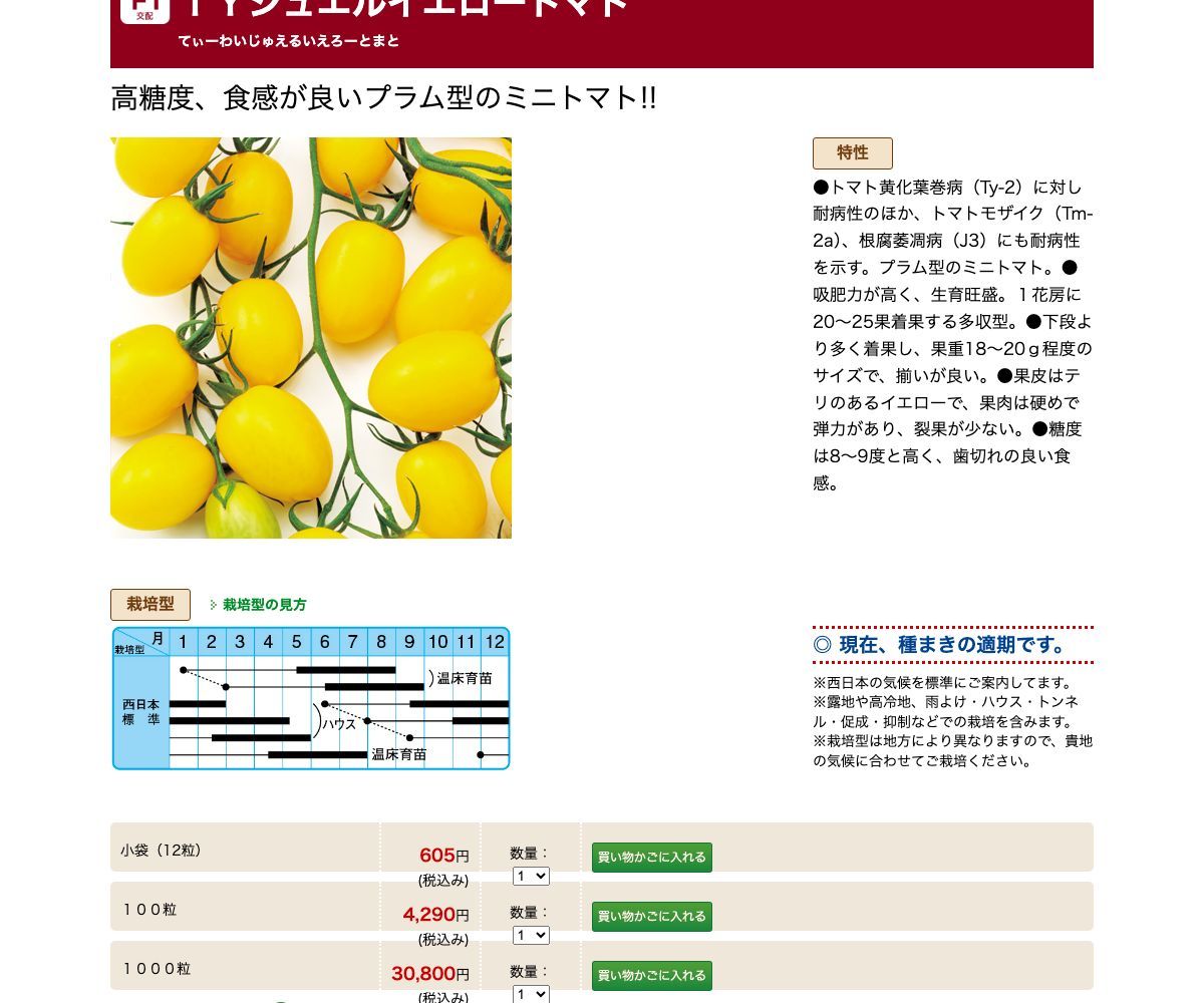 TYジュエルイエロートマト