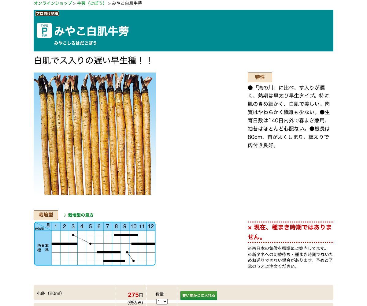 みやこ白肌牛蒡